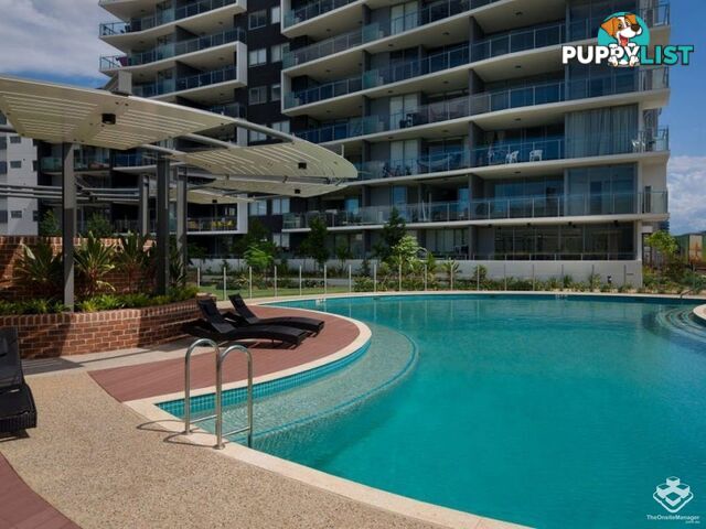 ID:21158787 9 Pidgeon Close West End QLD 4101
