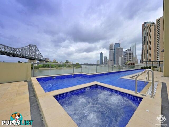 ID:21143918/82 Boundary Street Brisbane City QLD 4000