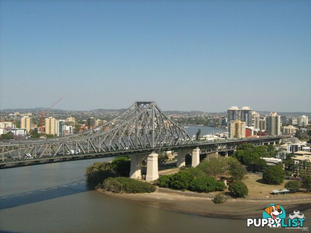 ID:21143918/82 Boundary Street Brisbane City QLD 4000