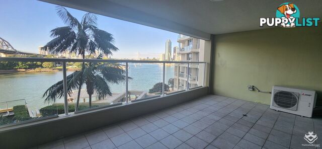 ID:21151687 82 Boundary Street Brisbane City QLD 4000