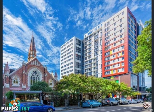 514/128 Brookes Street Fortitude Valley QLD 4006