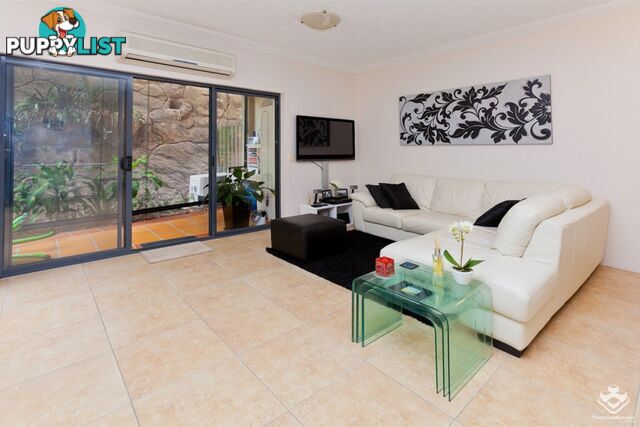 ID:21152555 68 Beeston Street Teneriffe QLD 4005