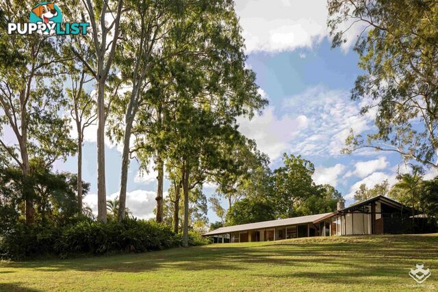 26 Scenic Road Kenmore QLD 4069