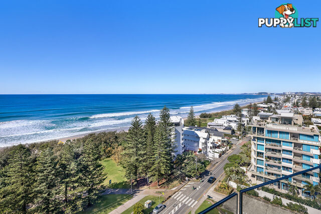 1103/272 Hedges Avenue Mermaid Beach QLD 4218