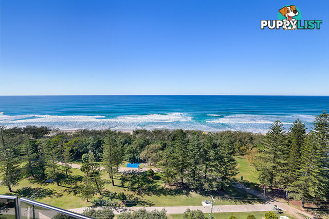 1103/272 Hedges Avenue Mermaid Beach QLD 4218