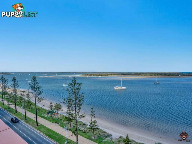 817/430 Marine Parade Biggera Waters QLD 4216