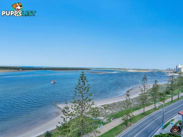 817/430 Marine Parade Biggera Waters QLD 4216