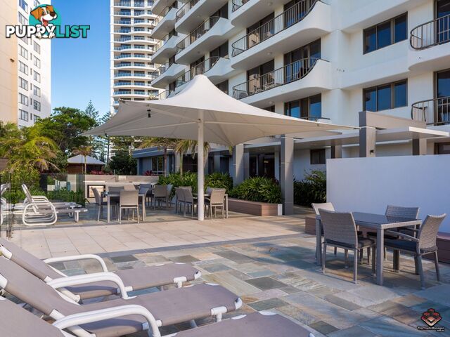 ID:3899528/4 Britannia Avenue Broadbeach QLD 4218