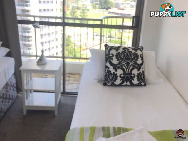 ID:3899528/4 Britannia Avenue Broadbeach QLD 4218