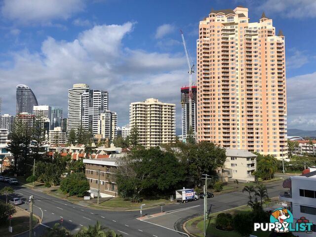 ID:3899528/4 Britannia Avenue Broadbeach QLD 4218