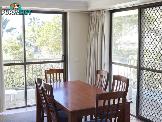 ID:3899528/4 Britannia Avenue Broadbeach QLD 4218