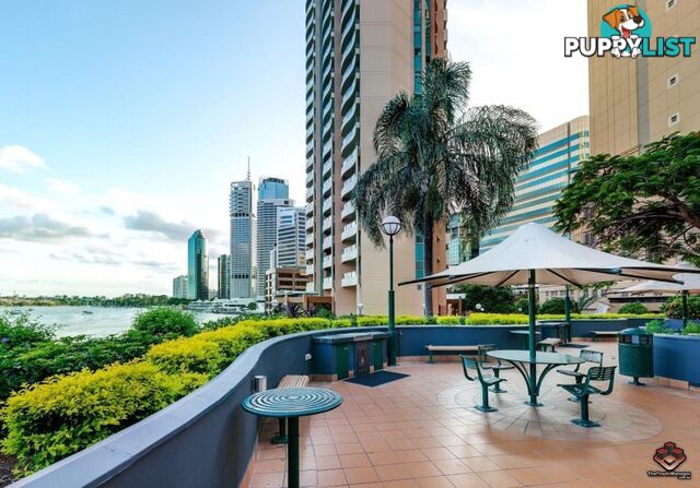 5B / 35 Howard Street Brisbane City QLD 4000