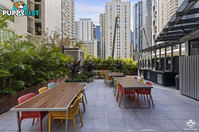 ID:21133269 70 Mary Street Brisbane City QLD 4000