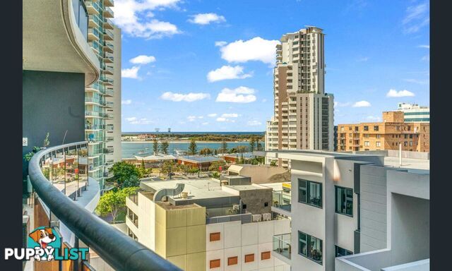 ID:21152530 139 Scarborough St 139 Scarborough Street Southport QLD 4215
