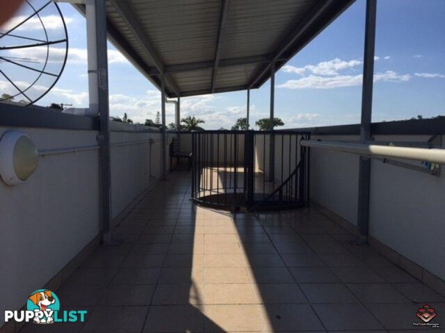 ID:3896914/36 Tenby Street Mount Gravatt QLD 4122