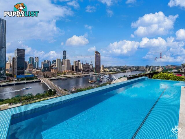 ID:21139745/ 77 Grey Street South Brisbane QLD 4101