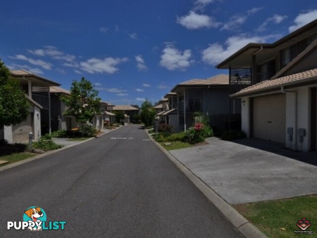 ID:3897663/130 Jutland Street Oxley QLD 4075