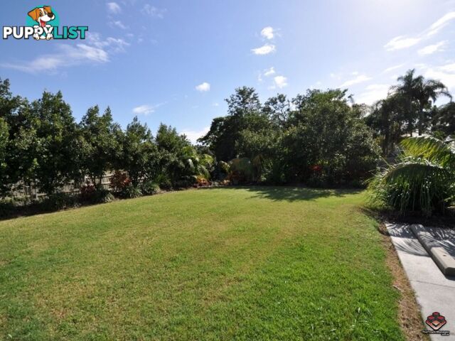 ID:3897663/130 Jutland Street Oxley QLD 4075