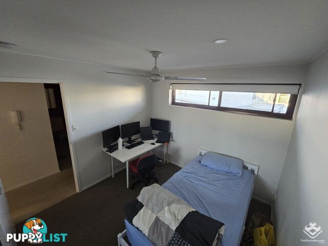 ID:21142287/ 62 Richmond Road Morningside QLD 4170