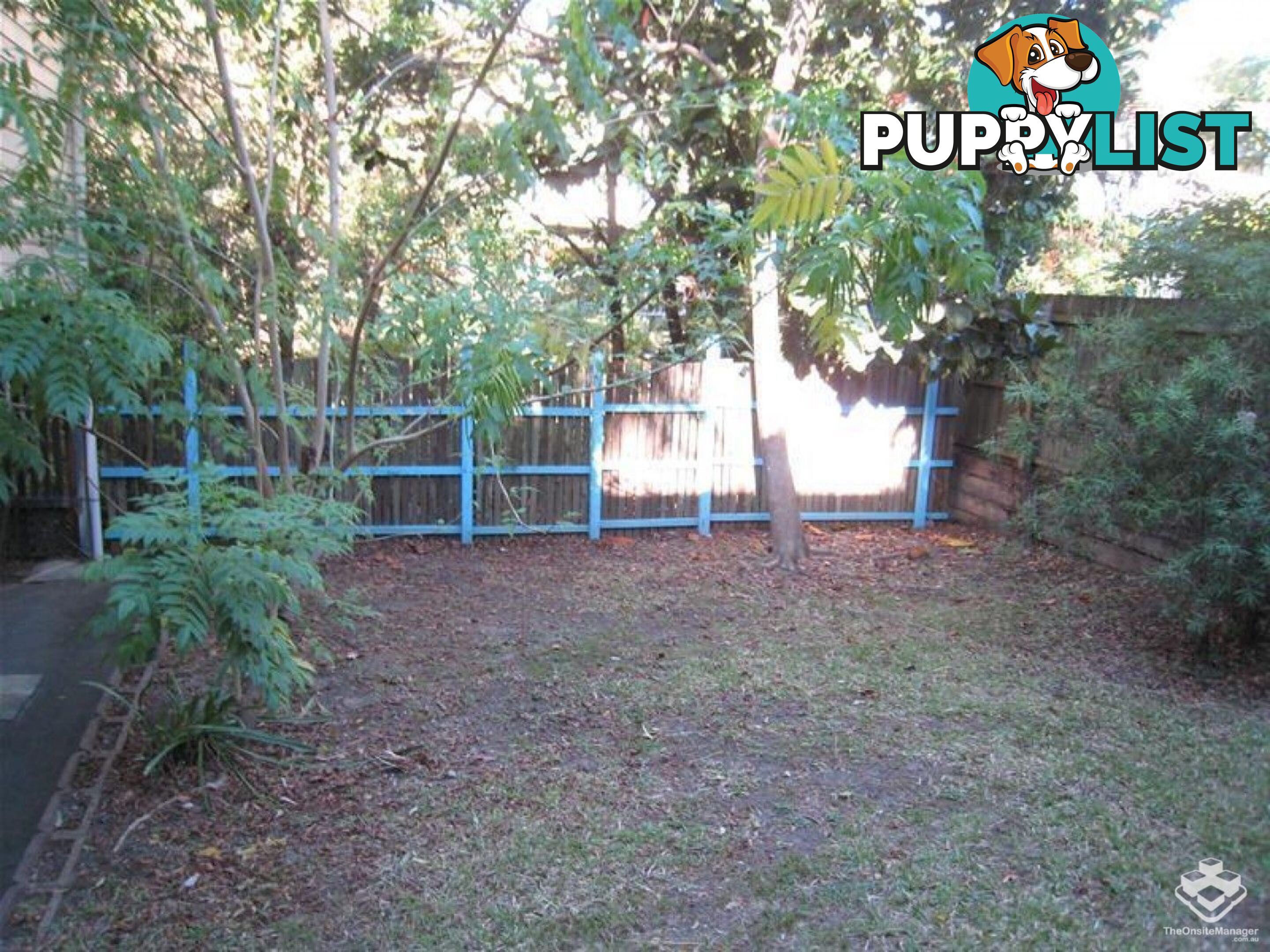 29 Pleasant St Red Hill QLD 4059