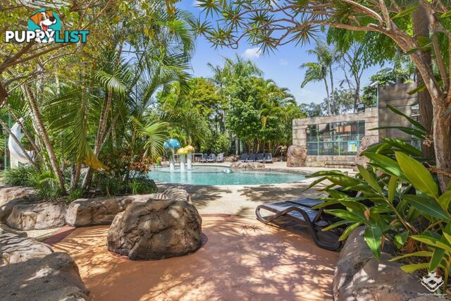 ID:21145342 71 Hinde Street Ashmore QLD 4214