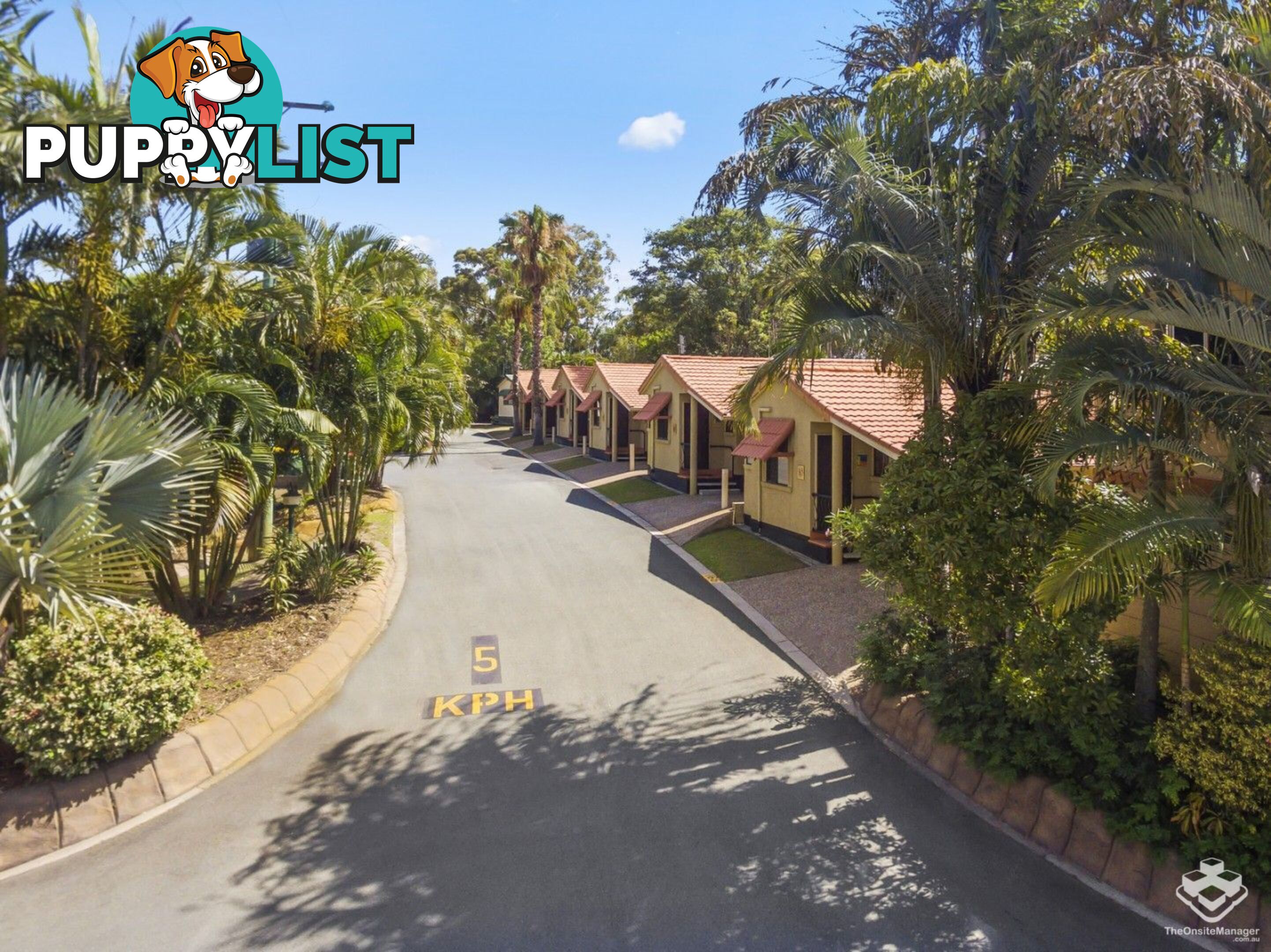 ID:21145342 71 Hinde Street Ashmore QLD 4214