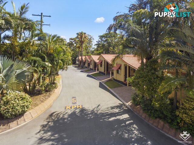 ID:21145342 71 Hinde Street Ashmore QLD 4214
