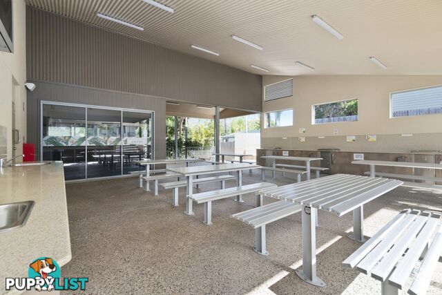 ID:21145342 71 Hinde Street Ashmore QLD 4214
