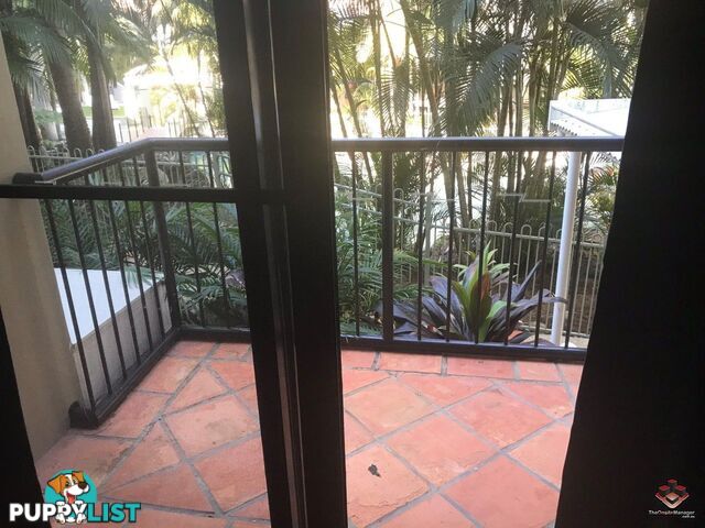 ID:21121415/ 1 Great Hall Drive Miami QLD 4220