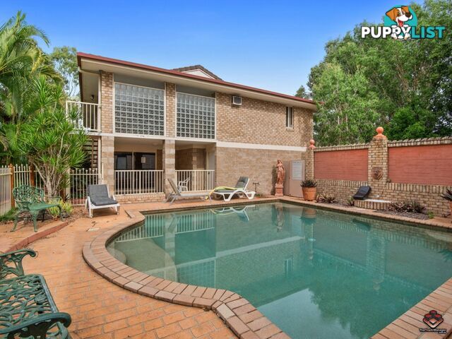 Griffith Glen Klumpp Road Upper Mount Gravatt QLD 4122