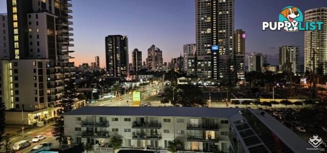 808/67 Ferny Avenue Surfers Paradise QLD 4217