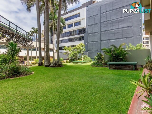 808/67 Ferny Avenue Surfers Paradise QLD 4217