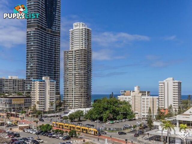 808/67 Ferny Avenue Surfers Paradise QLD 4217