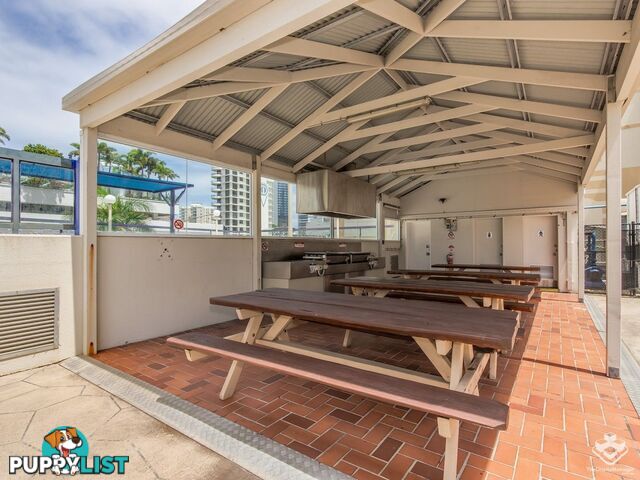 808/67 Ferny Avenue Surfers Paradise QLD 4217