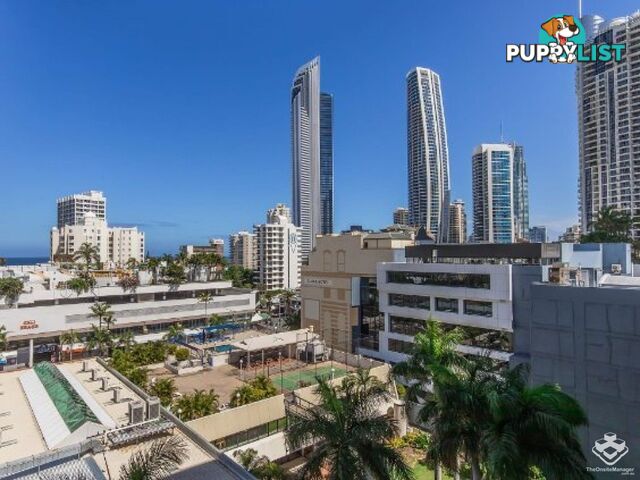 808/67 Ferny Avenue Surfers Paradise QLD 4217