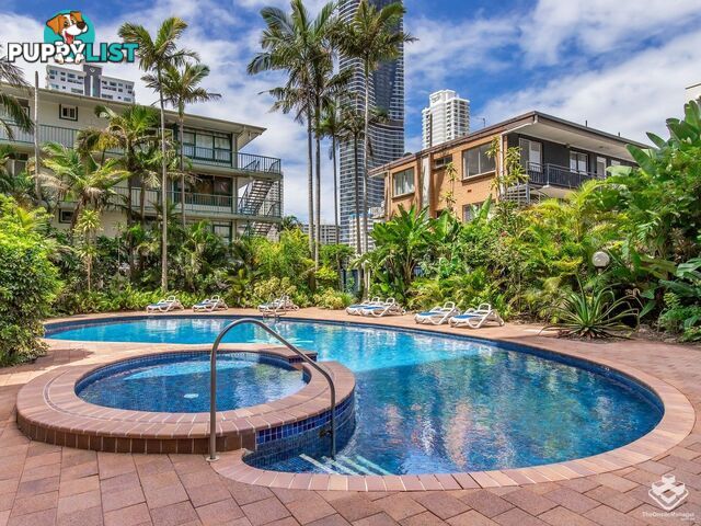 808/67 Ferny Avenue Surfers Paradise QLD 4217