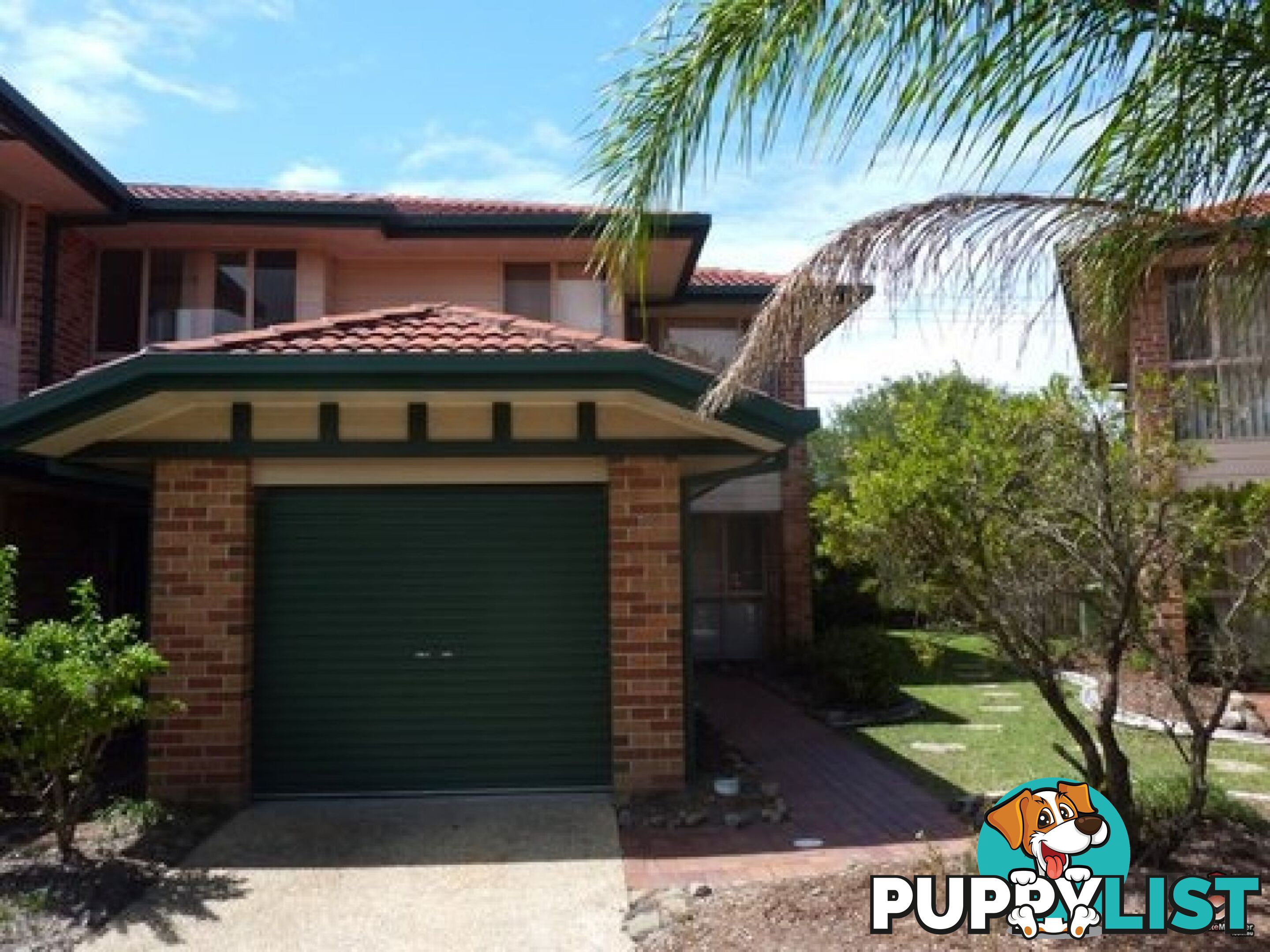 ID:3898091/75 Brown Street Labrador QLD 4215