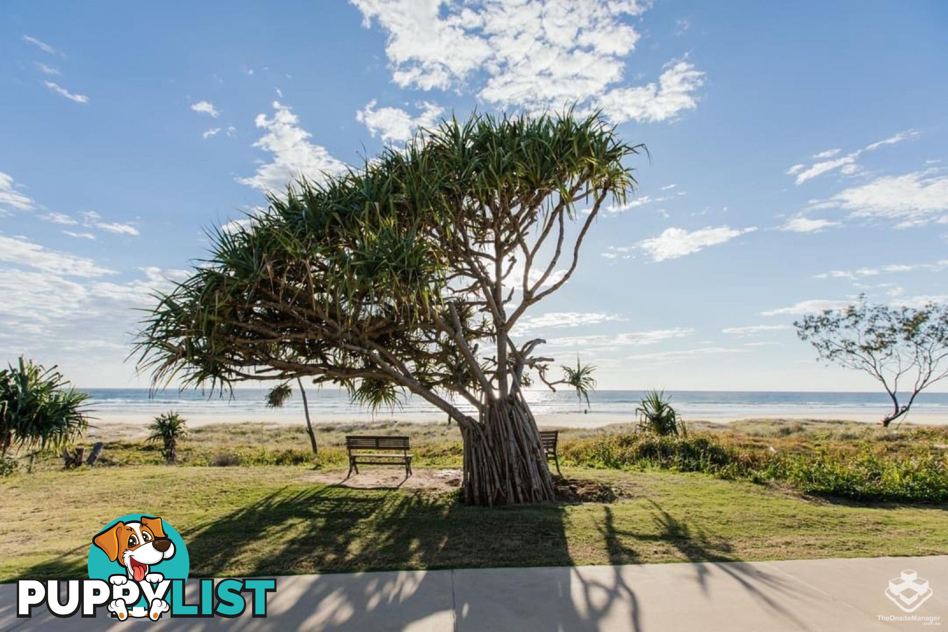 114 / 2 Inland Drive Tugun QLD 4224