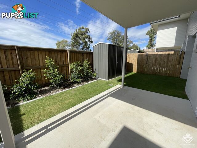 65/16 Nigella Street Dakabin QLD 4503