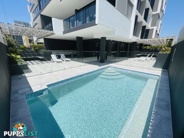 ID:21153360 73-75 Golden Four Drive Bilinga QLD 4225