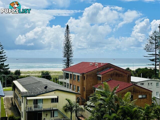 ID:21153360 73-75 Golden Four Drive Bilinga QLD 4225