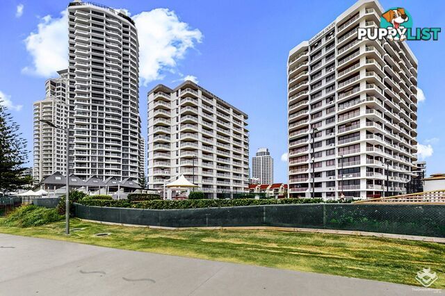 ID:21153925 50 Old Burleigh Road Surfers Paradise QLD 4217