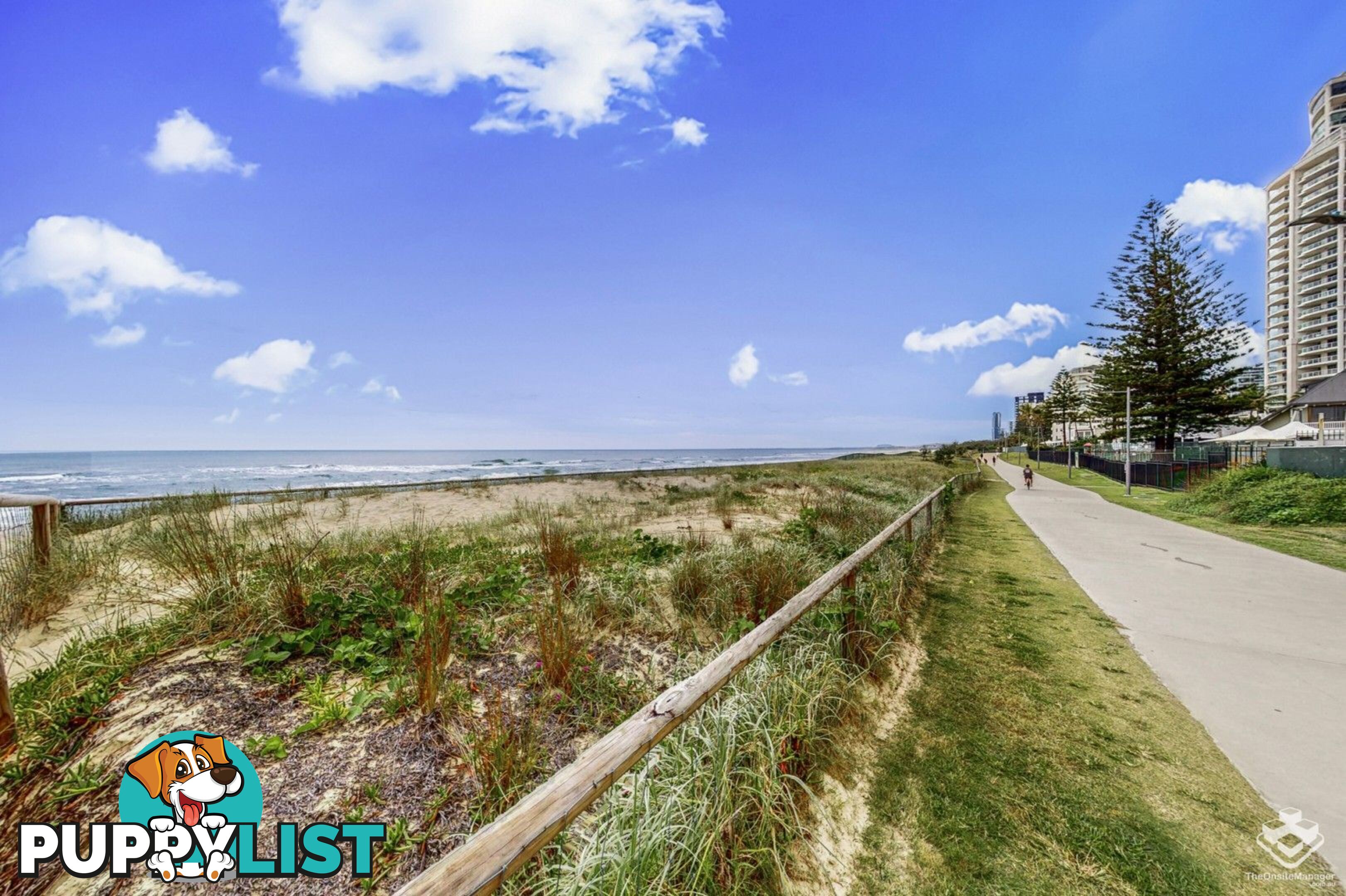 ID:21153925 50 Old Burleigh Road Surfers Paradise QLD 4217