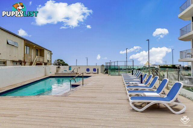 ID:21153925 50 Old Burleigh Road Surfers Paradise QLD 4217