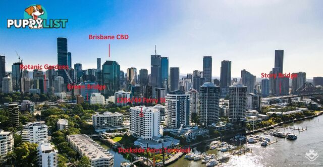 1204/44 Ferry Street Kangaroo Point QLD 4169