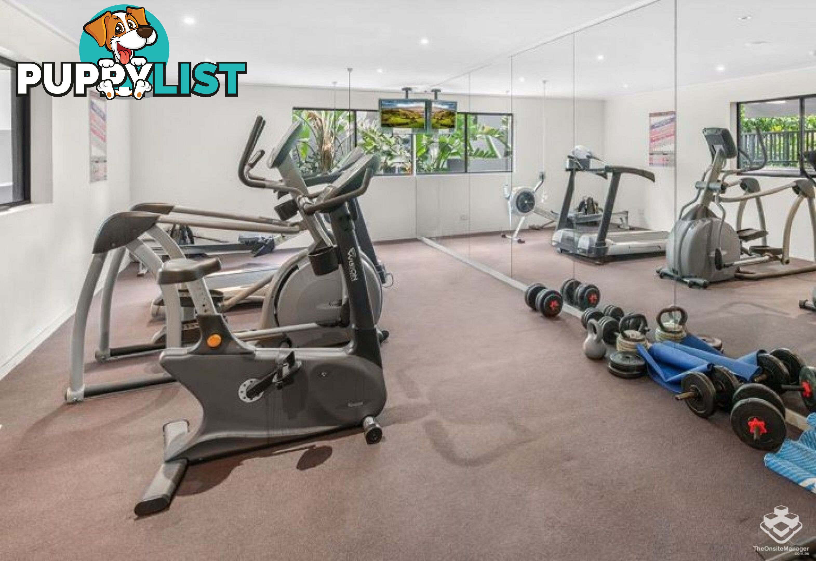 ID:21153709 Unit 168 and 8 Musgrave Street West End QLD 4101