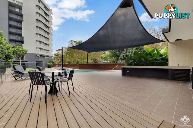 ID:21153709 Unit 168 and 8 Musgrave Street West End QLD 4101