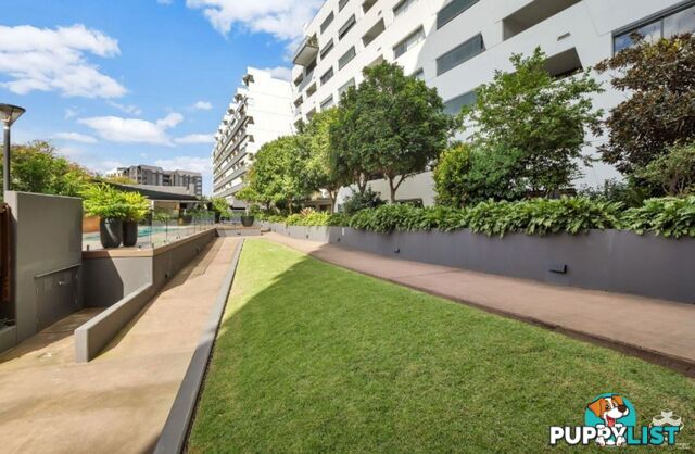 ID:21153709 Unit 168 and 8 Musgrave Street West End QLD 4101