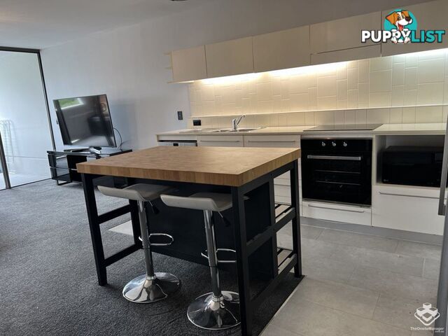 ID:21153709 Unit 168 and 8 Musgrave Street West End QLD 4101
