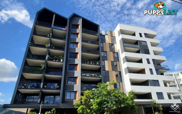 311 / 77 Jane Street West End QLD 4101